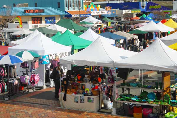 Nelson Saturday market, great for gifts