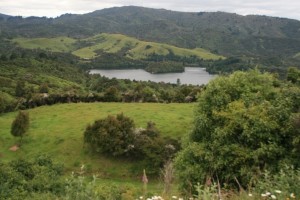 Waikaremoana property for sale