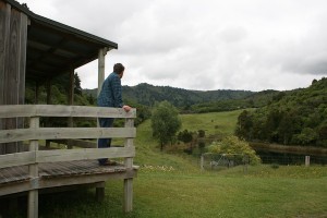 lake-waikaremoana-accomodation-fishermans-cabin